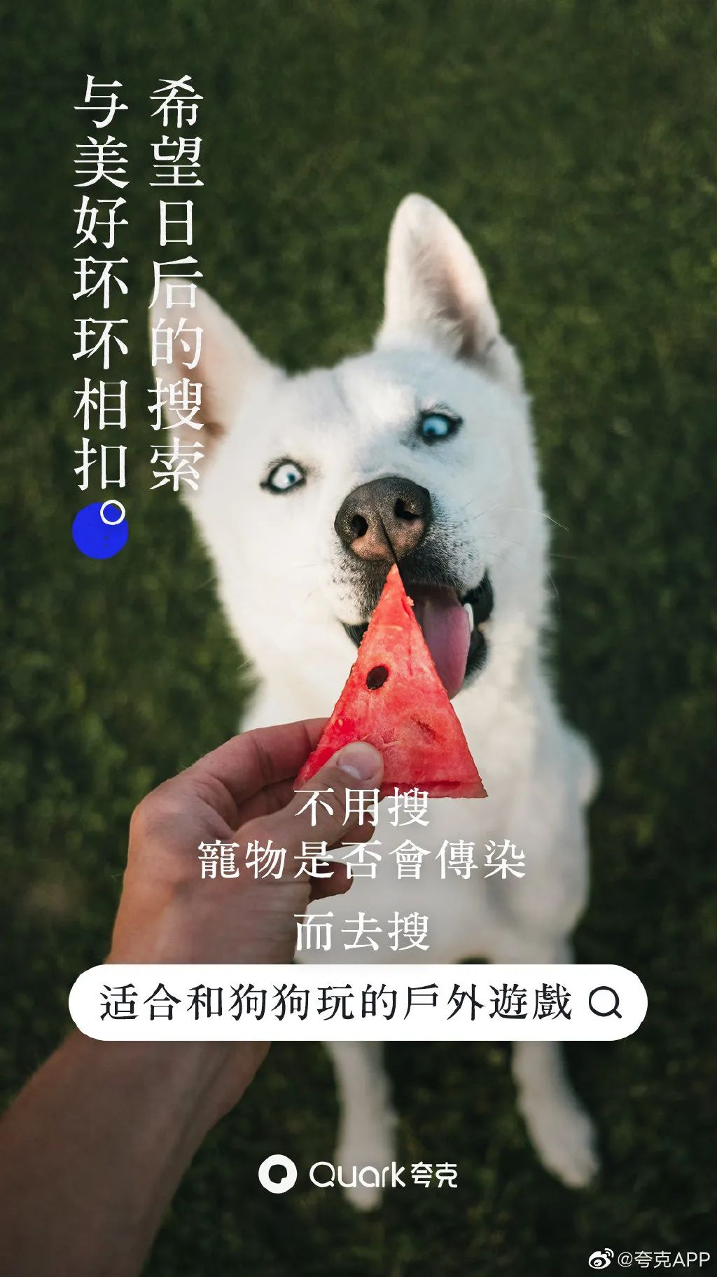 微信圖片_20200311174713.jpg